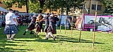 2. Halleiner Highland Games am 07.09.2024 - Highlandgames 2024